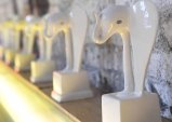 Our projects were shortlisted for the White Elephant Award